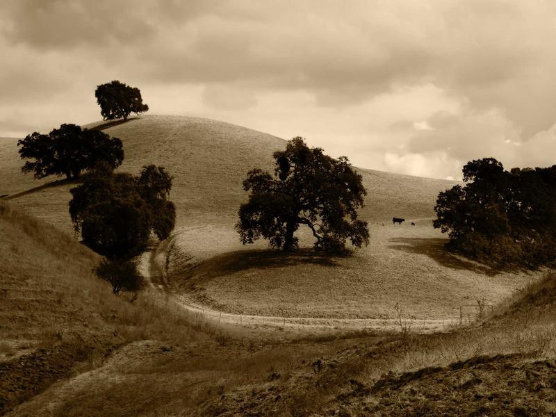 sudoku technique mastery screenshot 1