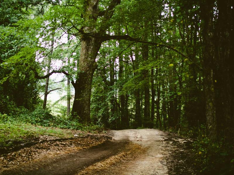 sudoku daily streak screenshot 4