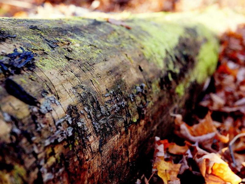 contact screenshot 3